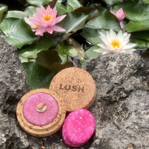 lush, plastic free july, műanyagmentes, környezetkímélő, csomagolásmentes, szilárd sampon, szilárd hajbalzsam, pucér, rúzs és más, környezetvédelem