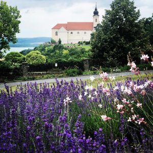 tihany, echo, etterem, rege, cukraszda, hello tihany, lavender, levedula, leparlo, muhely, levendulaolaj, levendula gin, levendula kozmetikum, tihanyi felsziget, levendula hetek, balaton, utazzitthon, ruzs es mas