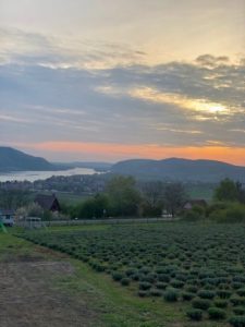 natura hill, zebegeny, vendéghaz, etterem, gourmet, gasztro, apartman, rendezveny, eskuvo, uzleti, konferencia, slow food, öko, ruzs es mas, vendeglatas, program