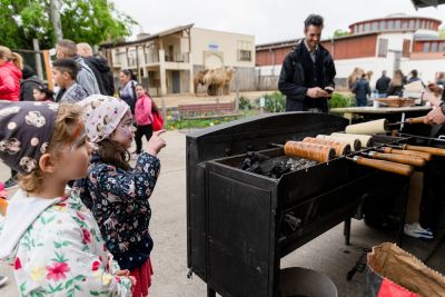 kurtosfesztival, kurtos kalacs, sakotis, ruzs es mas, gasztroprogram, gasztro, gasztronomia, programajanlo, vitez kurtos, edes macko