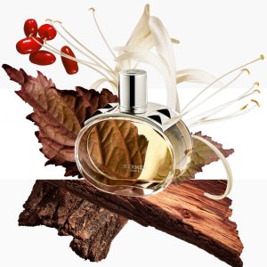 hermes, barenia, parfu.hu. parfum, edp, ruzs es mas