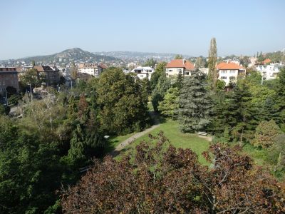 arbortura, program, borkostolo, ruzs es mas, arboretum, borturisztikai, gasztro, borfesztival, boraszat