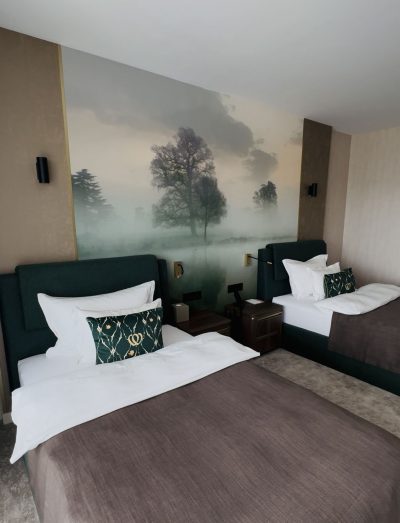 le primore, heviz, spa, termal, wellness, szalloda, hotel, otcsillag, superior, luxus, ruzs es mas, hotel, gyogyviz, csaladbarat, omorovicza, gaia, kezeles, medence, jacuzzi