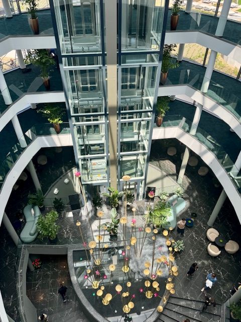 le primore, heviz, spa, termal, wellness, szalloda, hotel, otcsillag, superior, luxus, ruzs es mas, hotel, gyogyviz, csaladbarat, omorovicza, gaia, kezeles, medence, jacuzzi