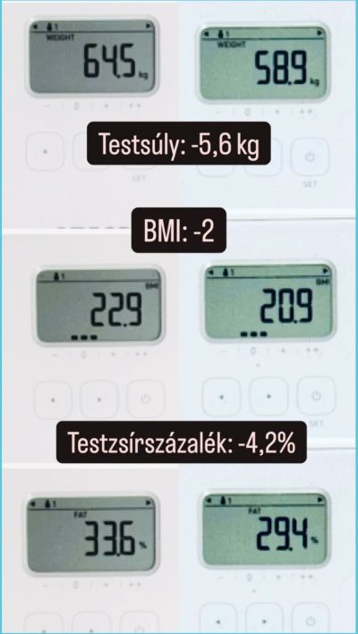 dieta, toman diet, feherjedieta, ruzs es mas, fogyas, fogyokura, diet, diéta, feherje, sulyfelesleg, 