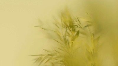 ev szine, secret safari, lakberendezes, enterior, trilak, dekoracio, otthon, ruzs es mas, festek