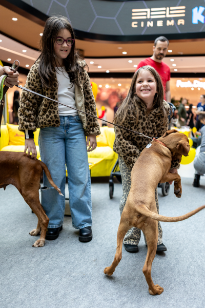 josera, petfood, kutya, kutyafotozas, kutyaeledel, ruzs es mas, etele, etele plaza, program, programajanlo