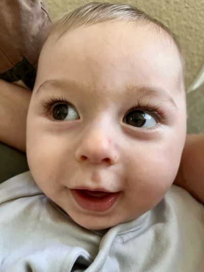 asnsd, erik, tamogatas, eletmentes, kutatas, alapitvany, ruzs es mas