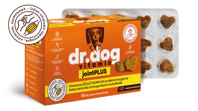 dr dog, kutya, kutyavitamin, izuletek, izuleti, ruzs es mas, tipp, kutyas