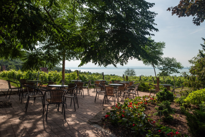 csodasmagyarorszag, vacratoti, alcsuti, folly, jeli, szarvasi, arboretum, botanikus kert, tavaszi program, seta, termeszet, kert, ruzs es mas, program