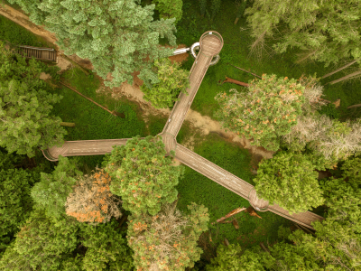 csodasmagyarorszag, vacratoti, alcsuti, folly, jeli, szarvasi, arboretum, botanikus kert, tavaszi program, seta, termeszet, kert, ruzs es mas, program