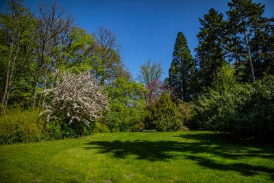 csodasmagyarorszag, vacratoti, alcsuti, folly, jeli, szarvasi, arboretum, botanikus kert, tavaszi program, seta, termeszet, kert, ruzs es mas, program