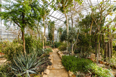 csodasmagyarorszag, vacratoti, alcsuti, folly, jeli, szarvasi, arboretum, botanikus kert, tavaszi program, seta, termeszet, kert, ruzs es mas, program