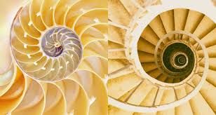 biomimetikus, biomimikri, termeszet-inspiralta, biomimetikus kozmetikum, arcapolas, termeszetazonos, borazonos, ruzs es mas