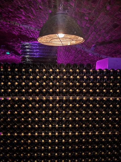 pincejarat, pincelatogatas, sauska, budafok, budafok-teteny, bor, borvidek, pezsgo, pezsgokostolo, pince, program, programajanlo, ruzs es mas