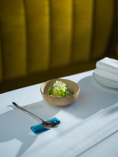botanica, jubileum, 10 eves, szuletesnapi menu, munk tamas sef, michelin, fine dining, ruzs es mas, danszentmiklos