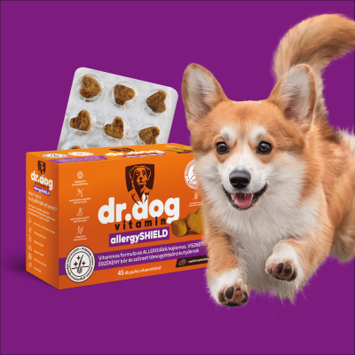 dr.dog, kutya. kutyavitamin, immunrendszer, allergia, kutya pollenallergia, pollenallergia, allatorvos, ruzs es mas