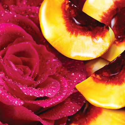 escada, yum me, testpermet, test- es hajpermet, hajpermet, illat, escada, yum me, ruzs es mas