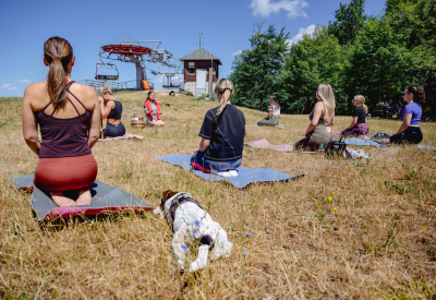 epleny, erdei joga, meditacios osveny, kuytabarat, siarena, termeszetjaras, erdei, kikapcsolodas, ruzs es mas
